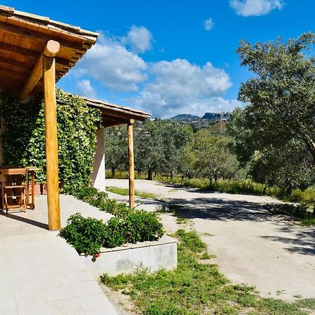 La Casa Del Cancello Di Borgo Carbone Locri Eksteriør bilde