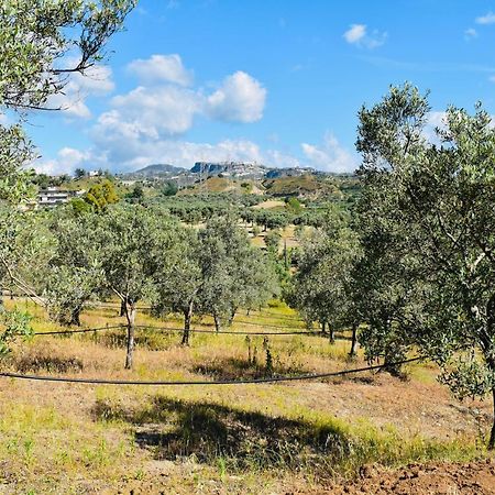 La Casa Del Cancello Di Borgo Carbone Locri Eksteriør bilde